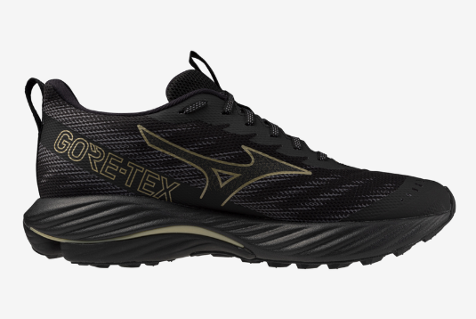 MIZUNO WAVE RIDER GTX 2 2E WIDE MENS Smiths Sports Shoes Online