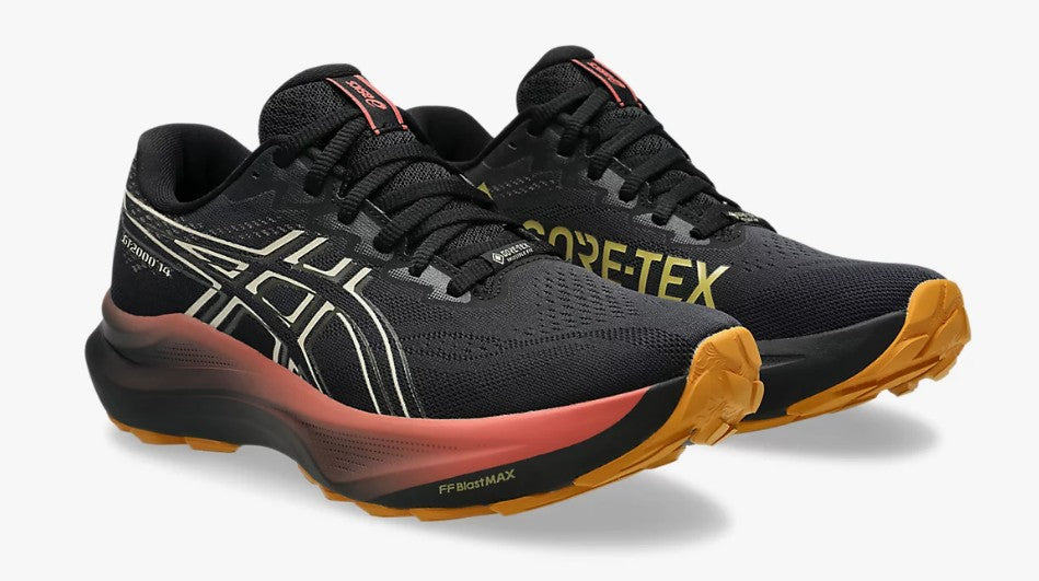 ASICS GT 2000 14 GTX WOMENS