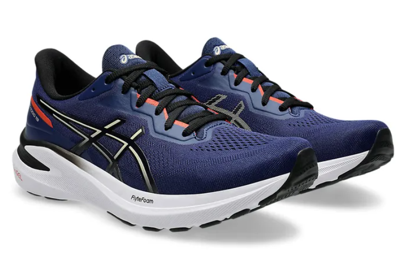 ASICS GT 1000 13 (2E WIDTH) MENS